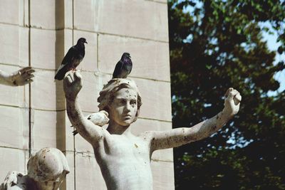 Low angle view of bird perching on statue