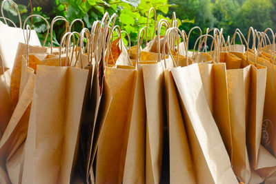 Close-up of plants hanging against blurred background