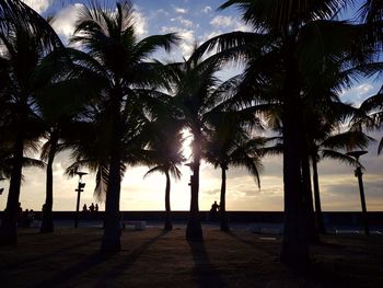 Silhouette palm trees at beach during sunset