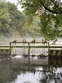 Reflection of trees in lake at park