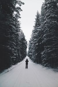 Man on snow covered trees against sky