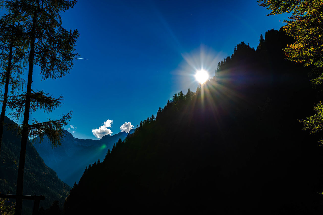 LOW ANGLE VIEW OF SUNLIGHT STREAMING THROUGH SILHOUETTE TREES AGAINST SKY