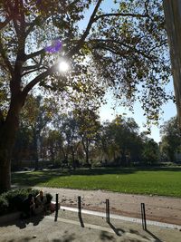 Trees on field in park against sky