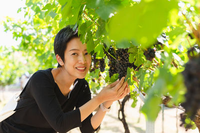 Portrait of pretty woman holding a bunch of grapes in her hand at vineyard.