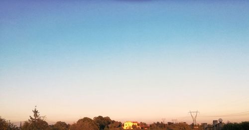 Silhouette of trees against clear sky