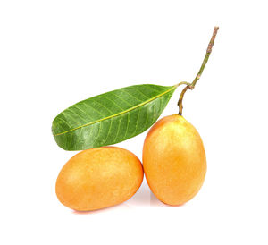 Close-up of oranges against white background