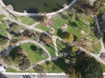 High angle view of road amidst trees