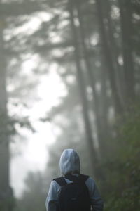 Rear view of man standing in forest