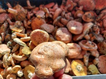Close-up of food for sale at market stall