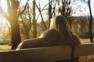 Rear view of woman sitting against trees