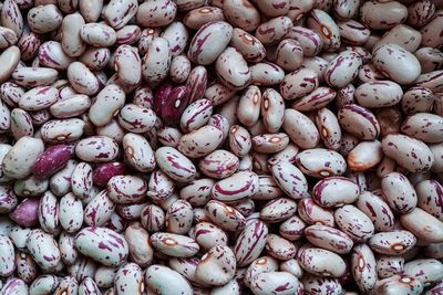 Uncooked beans, mediterranean food, healthy food