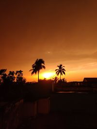 Silhouette palm trees against sky during sunset