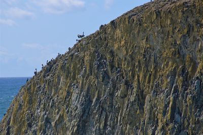 Scenic view of basalt against sky