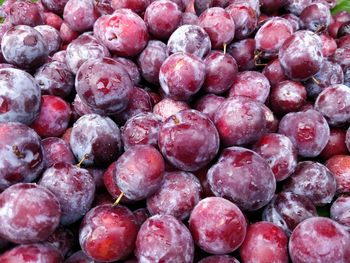 Full frame shot of falsa fruit