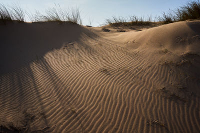 Sand dunes in desert