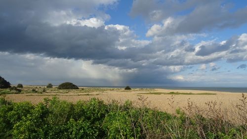 Scenic view of agricultural field against sky