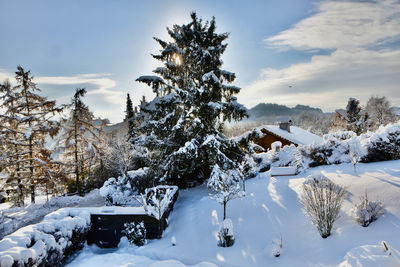 Snow covered landscape with trees against sunny sky