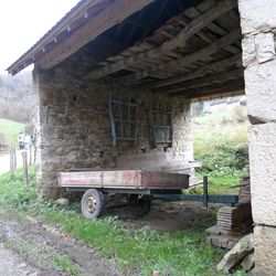abandoned