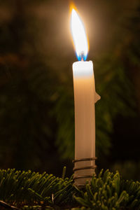 Close-up of lit candles in darkroom