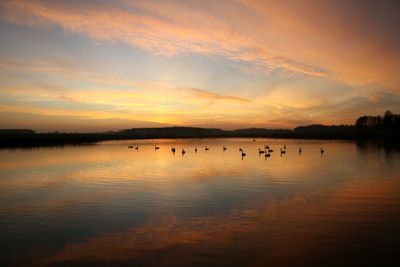 Scenic view of lake at sunset