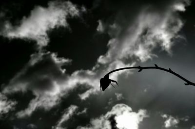 Low angle view of cloudy sky