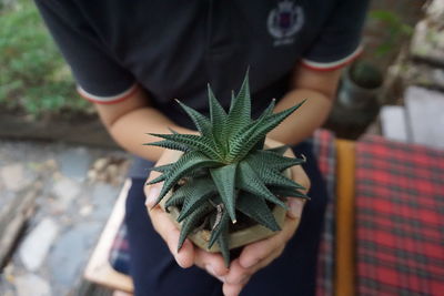 Midsection of man holding leaves