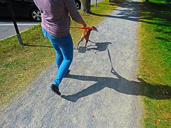 Low section of people walking on street