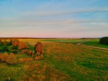 Scenic view of field against sky