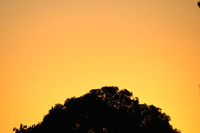 Low angle view of silhouette tree against orange sky