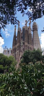 Low angle view of trees and building against sky