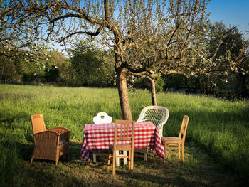 Chairs and tables on field against trees