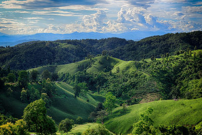 Scenic view of landscape against sky