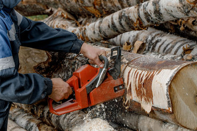 Logger, a person chopping a tree or log with a chainsaw, an electric chainsaw.