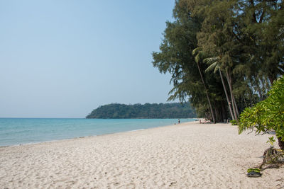 Scenic view of beach against clear sky