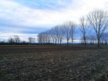 Bare trees on landscape against sky