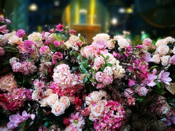 Close-up of pink flowering plants