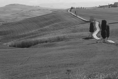Rear view of person on field