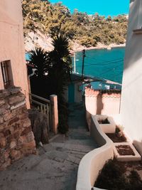 Footpath by building and palm trees