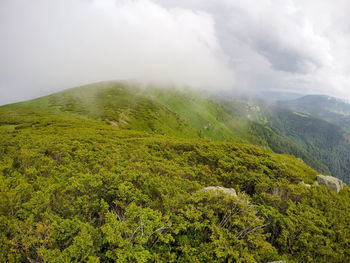 Scenic view of green landscape against sky