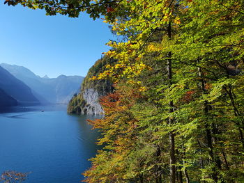 Scenic view of lake by trees against sky during autumn