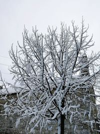 Low angle view of frozen tree against clear sky