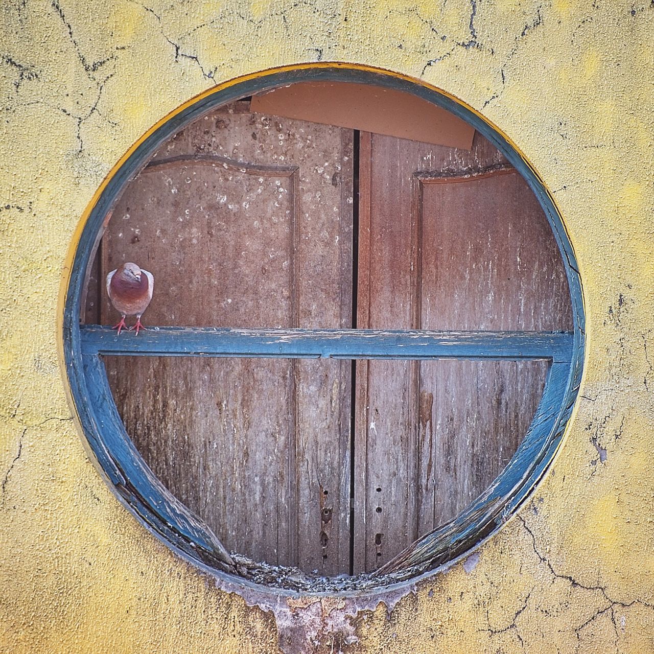 CLOSE-UP OF CLOSED DOOR WITH HANDLE