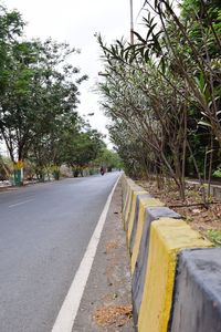 Surface level of empty road along trees