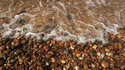 High angle view of pebbles on shore