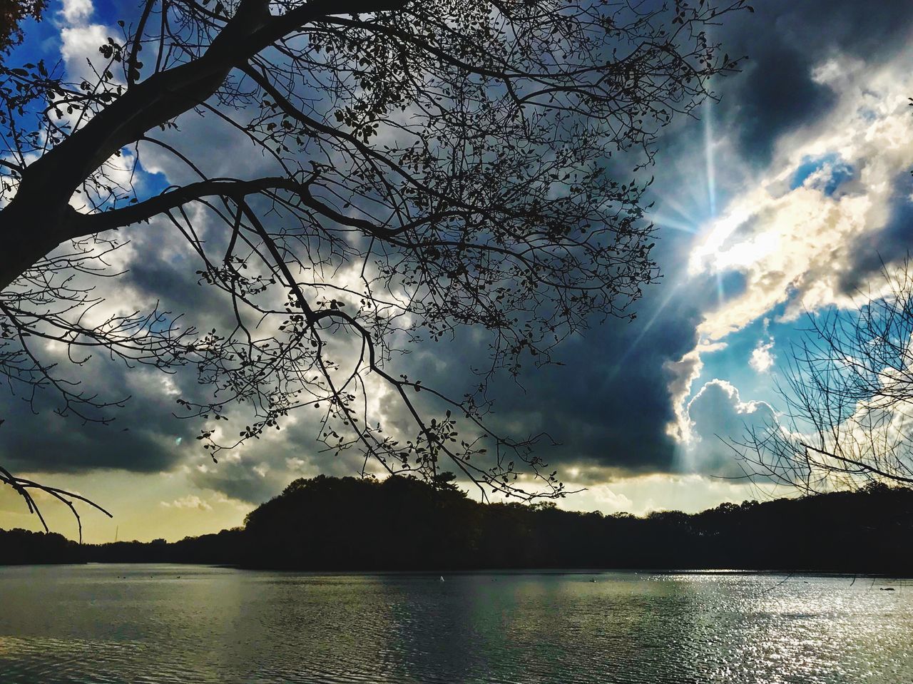 tree, nature, lake, beauty in nature, sky, scenics, water, silhouette, tranquility, tranquil scene, cloud - sky, reflection, no people, outdoors, sunset, branch, waterfront, landscape, bare tree, mountain, day