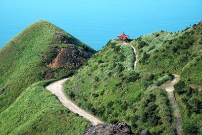 High angle view of tree by sea