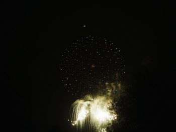 Low angle view of firework display at night