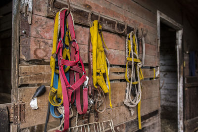 Safety harnesses hanging on wooden wall
