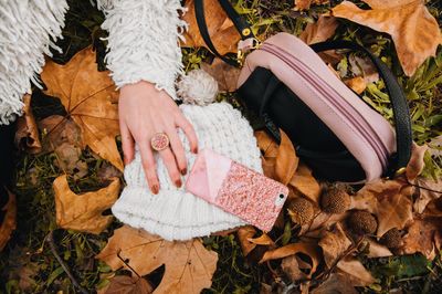 Low section of people walking on autumn leaves