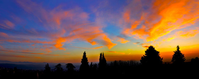 Silhouette trees against sky during sunset